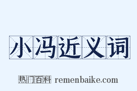 小冯近义词是什么意思的图片